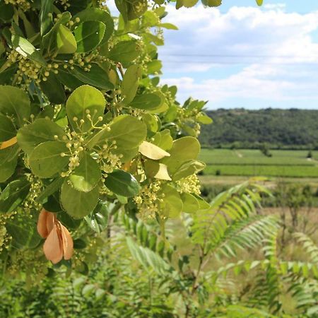 Vila Flora Sečovlje Dış mekan fotoğraf