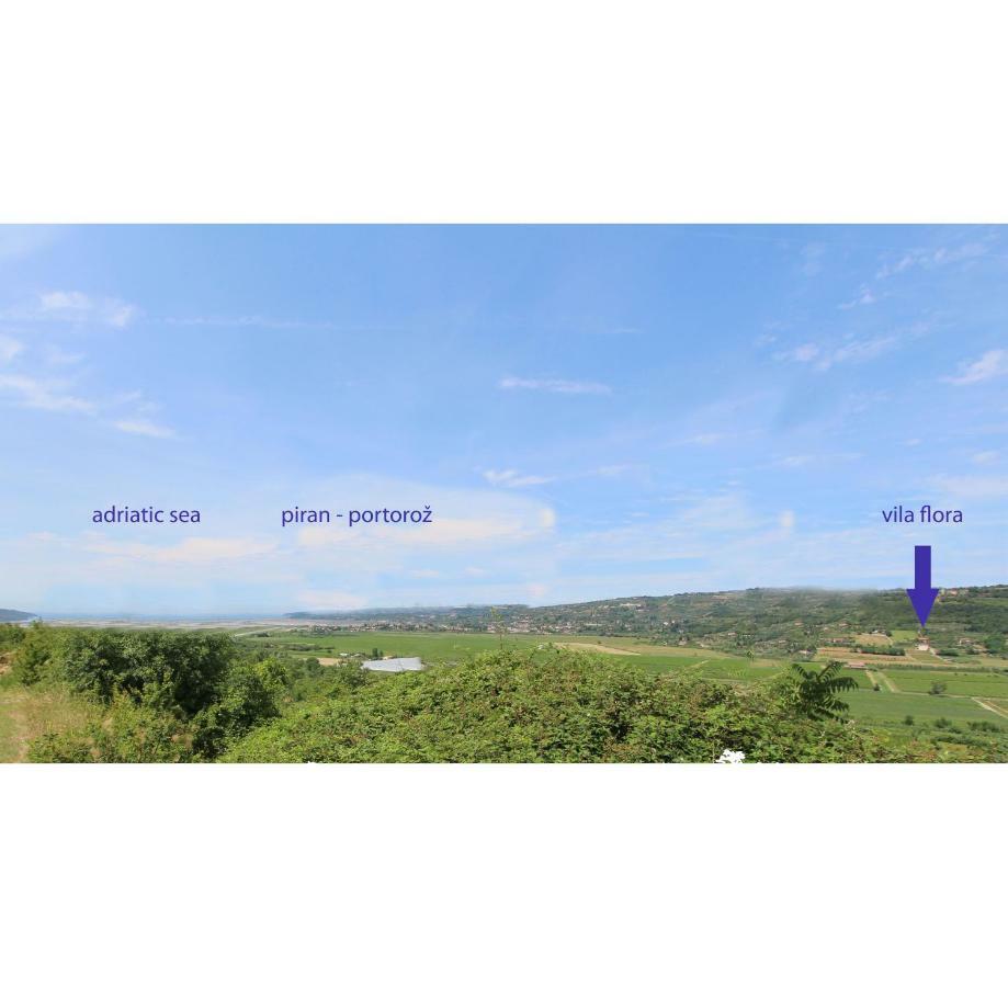 Vila Flora Sečovlje Dış mekan fotoğraf