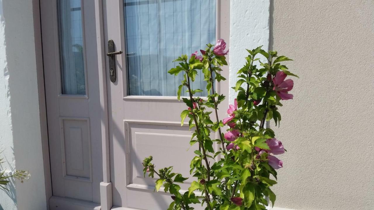 Vila Flora Sečovlje Dış mekan fotoğraf