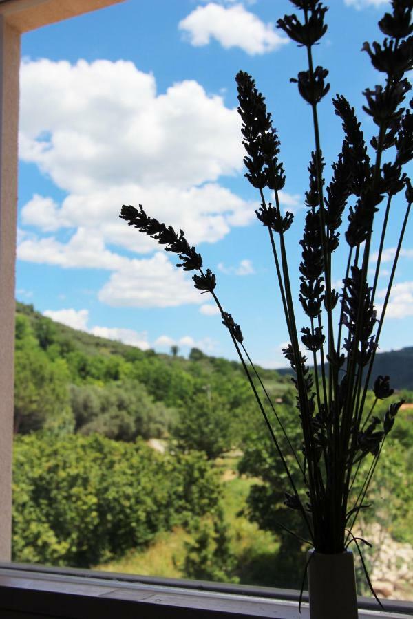 Vila Flora Sečovlje Dış mekan fotoğraf